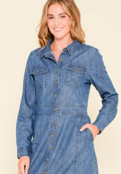 Brakeburn Denim Shirt Dress Blue Cheap